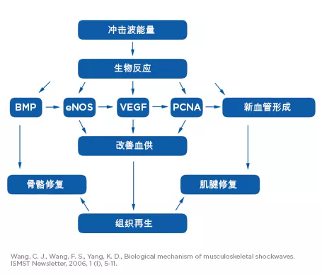生物学作用